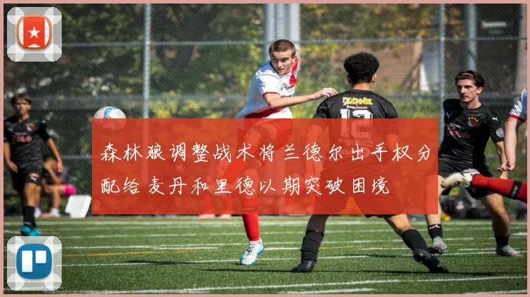森林狼调整战术将兰德尔出手权分配给麦丹和里德以期突破困境