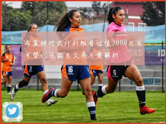 布莱顿对武什科维奇估值3000万或可替代范赫克交易方案解析